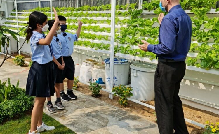 At Brightstar International School, Primary students are learning about Hydroponic agriculture