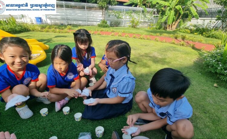 The grade 1 students are learning the life cycle of plants