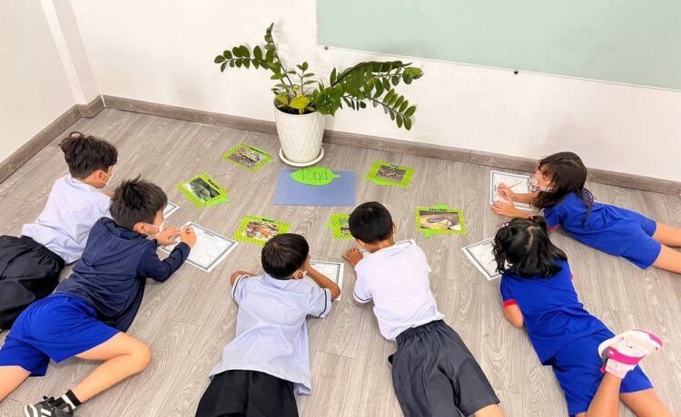 Our grade 1 students are learning about animal groups.