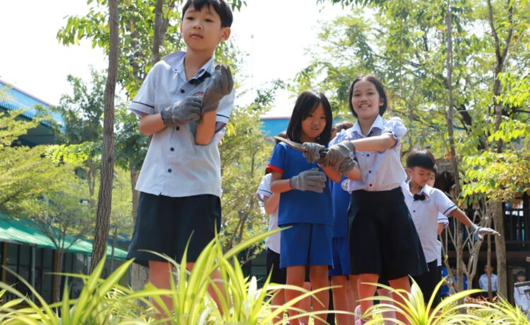 នៅក្នុងសប្តាហ៍ទី១ នៃត្រីមាសទី៣ នេះ យើងឃើញថា ការសិក្សាបានប្រព្រឹត្តិយ៉ាងសកម្ម!