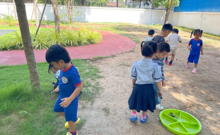 កុមារតូចៗថ្នាក់មត្តេយ្យសិក្សារបស់យើង បានក្លាយជាអ្នកប្រមាញ់វ័យក្មេងក្នុងអំឡុងពេលអនុវត្តសកម្មភាពការរុករកសត្វល្អិត។